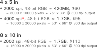 4 x 5 in ﾥ 2000 spi*, 48-bit RGB ￅ 460MB, $55      ￅ 8000 x 10000 pixels ￅ 26" x 33" @ 300 dpi output ﾥ 4000 spi*, 48-bit RGB ￅ 1.8GB, $70      ￅ 16000 x 20000 pixels ￅ 53" x 66" @ 300 dpi output