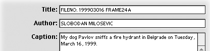 Photoshop File Info IPTC Metadata Author Caption Copyright Notice