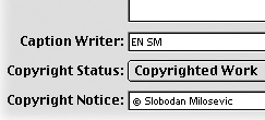 Photoshop File Info IPTC Metadata Author Caption Copyright Notice
