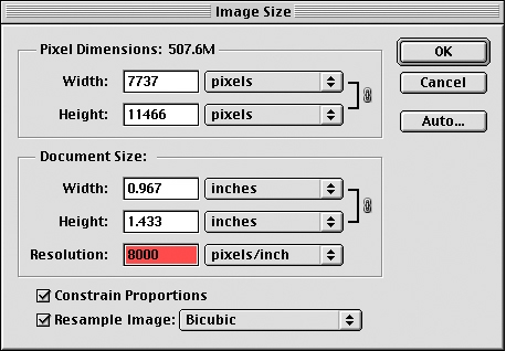 Photoshop Image Size Dialog Box
