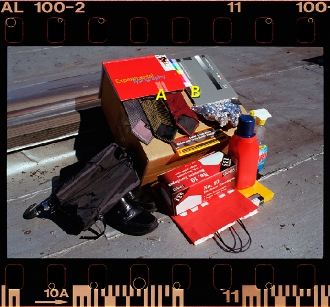 Kodak 35mm RA100 Royal Gold 100 Color Negative Film Drum Scan Full Frame